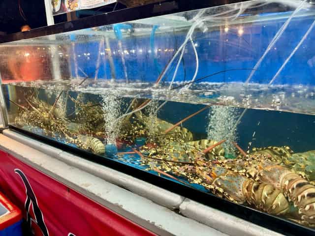 Aslan Seafood Restaurant (Halal)